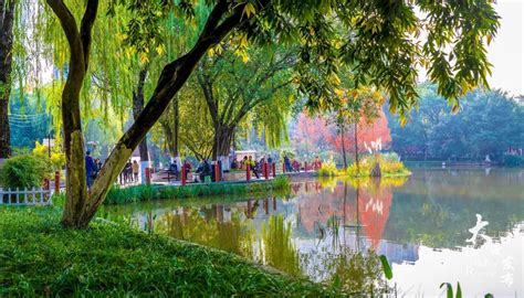 重庆大渡口：“公园之城”创造高品质生活 重庆风景园林网 重庆市风景园林学会