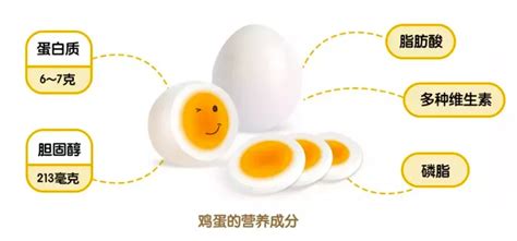 啄米生物丨除了DHA鸡蛋，市场上主流的功能性营养鸡蛋品类都有哪些？-DHA鸡蛋_藻源DHA鸡蛋_蛋黄金_品牌蛋_鸡蛋品牌运营_鸡蛋品牌化_蛋品 ...