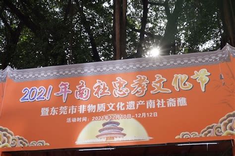 东莞茶山：文旅惠民闹新春，南社古村客流同比增长近5倍