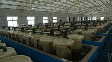 凤凰河工厂化水产良种繁育基地建设项目设备采_广州环控农业生物科技有限公司