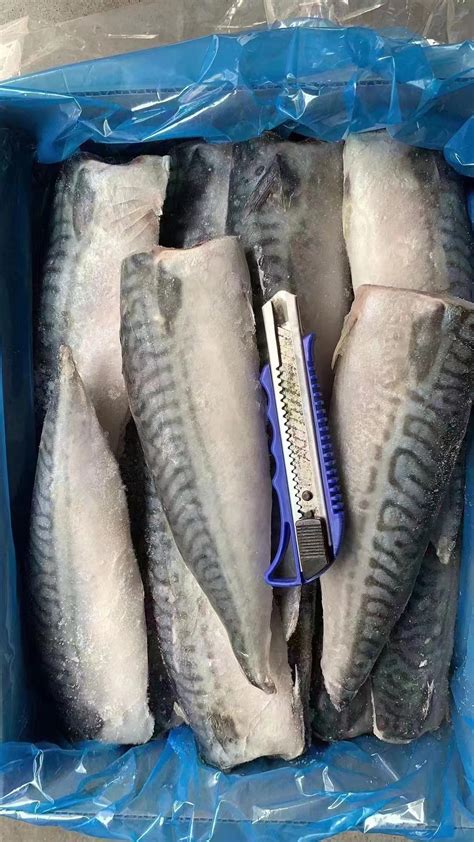 不锈钢托盘上的冷冻鲭鱼片高清图片下载-正版图片506575533-摄图网