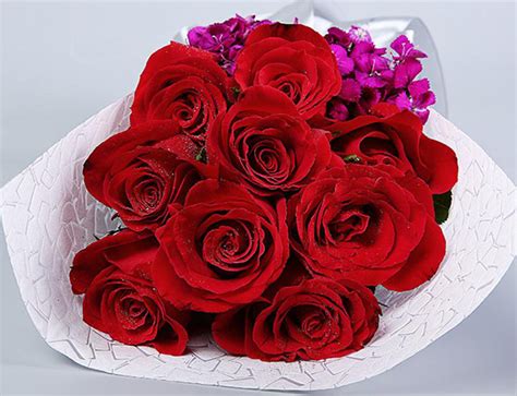 红玫瑰的花语是什么？红玫瑰的寓意和象征-花卉百科-中国花木网
