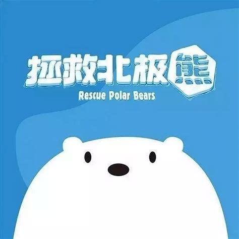 冻原熊(冰须熊) - 堆糖，美图壁纸兴趣社区