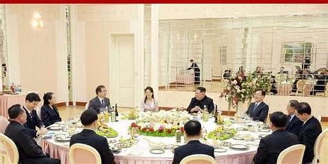 金正恩会见韩国总统特使代表团并达成“满意共识”_手机新浪网