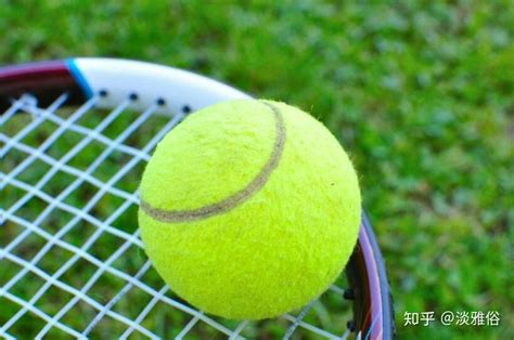 网球，什么是网球的四级罚分制? - 知乎