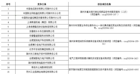 滁州市公共资源交易竞争主体重点关注名单（2020年第一批）_滁州市公共资源交易监督管理局