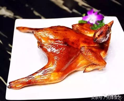 荔枝木烤鸡（荔枝柴火烤鸡（附腌制料、皮水配方）） | 说明书网