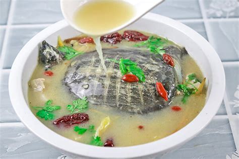 清炖甲鱼汤的做法步骤,怎样炖甲鱼汤才不腥窍门 - 美食菜谱 - 华网