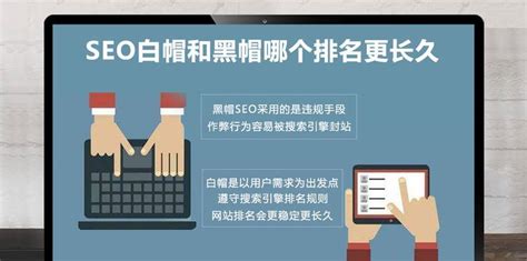 企业网站seo优化,深圳网站关键词排名优化公司,亚网互联