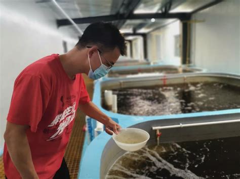 90后“虾厂塘主”：投身新农业建设创新陆基型养虾技术_中国环保新闻网|环保网