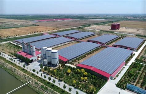 实业之城·高端铝产业集群：滨州强力打造世界级轻量化铝新材料产业集群-经济-滨州网