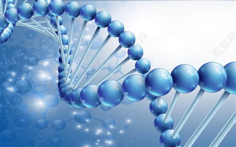 蓝色生物科技分子技术dna背景图片素材免费下载 - 觅知网