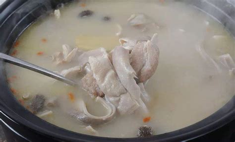 秋季多喝老鸭汤，这2种做法简单，鸭汤味甘生津，去燥润肺，很滋补_冬瓜_食材_食用