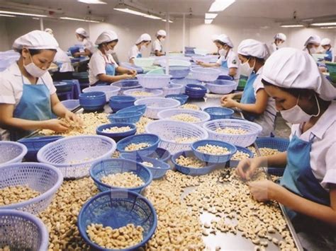 2021年前2月美国是越南农产品的最大出口市场 | 经济 | Vietnam+ (VietnamPlus)
