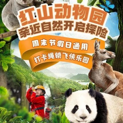 南京红山森林动物园攻略（开放时间+地址+交通+门票+展馆）- 南京本地宝