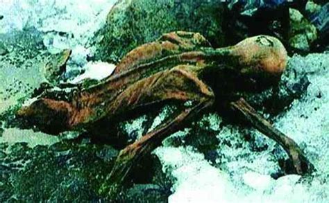 世界上被第一个发现的木乃伊奥兹冰人，他的诅咒是真的么 - UFO中文网