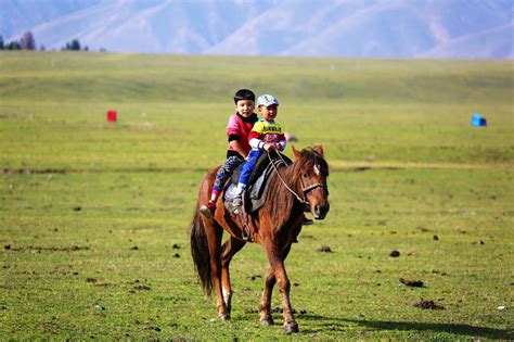 内蒙古大学生校园骑马出行：对得起外地人想象 - 高考志愿填报 - 中文搜索引擎指南网