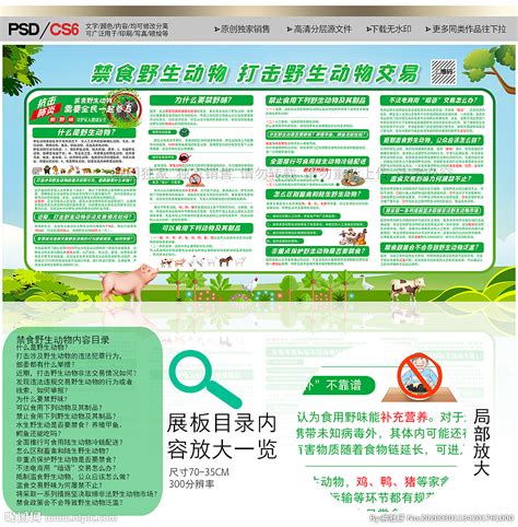 禁止食用野生动物宣传单设计图__广告设计_广告设计_设计图库_昵图网nipic.com