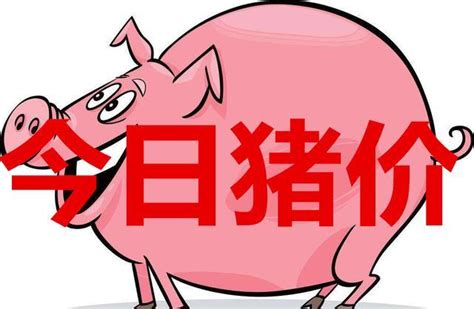 8月2日猪价，突破16仅咫尺之遥，东三省却“泄气”下一步怎么走？__凤凰网