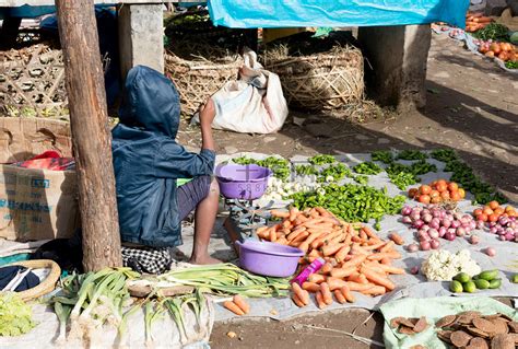 在农贸市场卖蔬菜的农妇的画像高清图片下载-正版图片504344265-摄图网