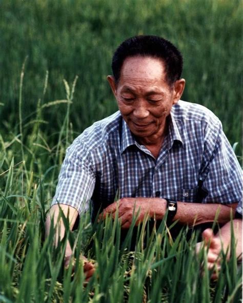 沉痛悼念杂交水稻之父一一袁隆平,学习他忘我工作的敬业精神|袁隆平|水稻|精神_新浪新闻