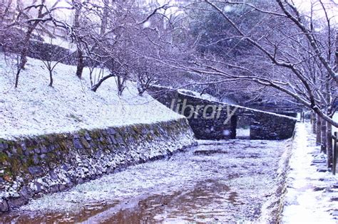 雪の秋月 写真素材 [ 2283776 ] - フォトライブラリー photolibrary