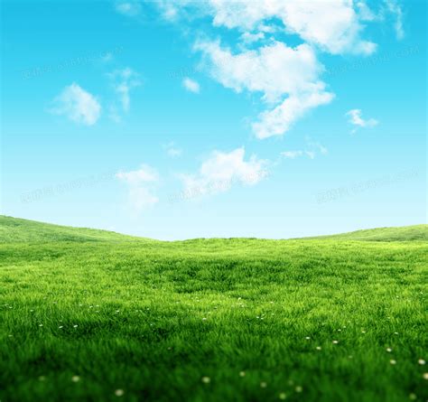 蓝天白云下的草地和野花摄影jpg图片免费下载_编号139hwgwo1_图精灵