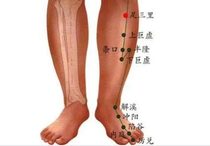 脚踝是哪个部位图解 脚的各个部位详细图_脚目是哪个部位图解 - 女人资料网