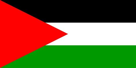 巴勒斯坦和巴基斯坦有何区别(最近巴勒斯坦火了，巴基斯坦却躺枪了，你能分清区别这两个地方么) | 说明书网