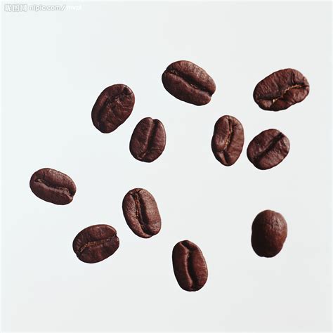 咖啡豆品种有哪些种类 各产区咖啡豆风味区别 曼特宁与蓝山咖啡豆口感风味特点的对比 中国咖啡网