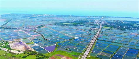 2020年防城港市水产品贡献率广西排名第一|防城港市|广西|渔业_新浪新闻