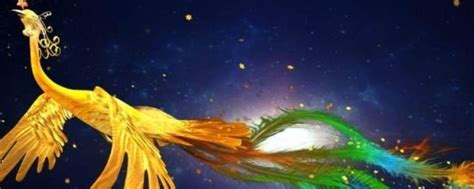 什么？凤凰是孔雀的祖先！ - 科普新疆_新疆本地化科普资源共享开放平台