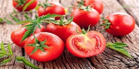 西红柿种植方法_360新知