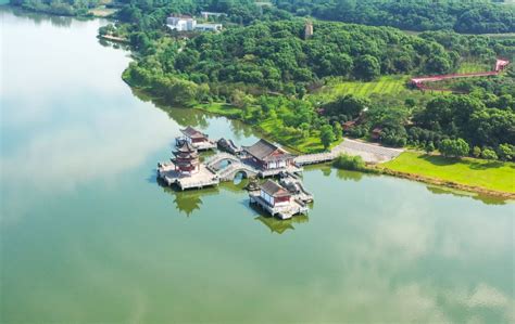 阳新莲花湖国家湿地公园生态持续向好-阳新县人民政府