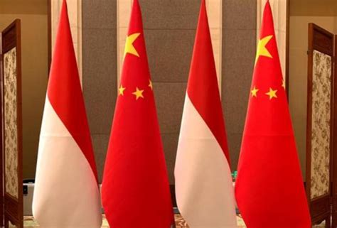 中印尼深化合作关系 为全球发展注入正能量_中国网-梨视频官网-Pear Video