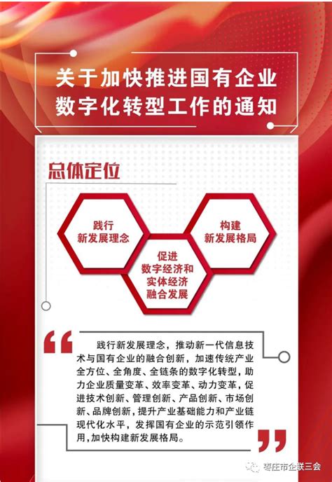第十七届中国信息港论坛在青岛举行 探究数字化转型赋能高质量发展_枣庄新闻网