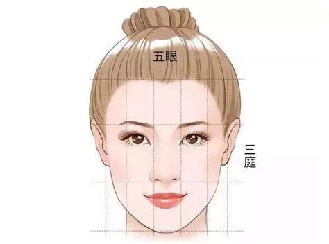 6种常见脸型，7种不同眼型与眉形如何搭配，很实用的规律总结