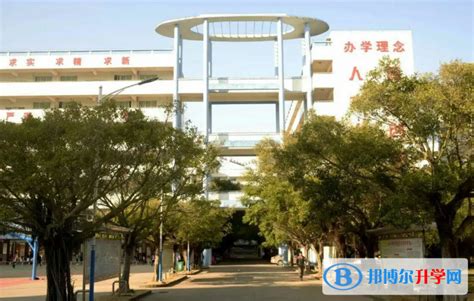 2023吴川市第一中学招生计划 招生人数是多少(附要求、条件、对象)