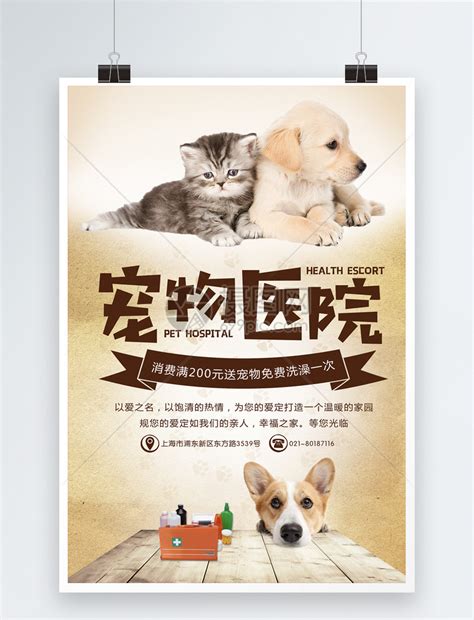 宠物医院海报模板素材-正版图片400882580-摄图网