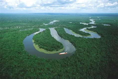 雨林,巴西,航拍视角,亚马逊河,亚马逊雨林,秘鲁亚马孙,亚马逊地区,亚马孙洲,热带雨林,流域保护区摄影素材,汇图网www.huitu.com