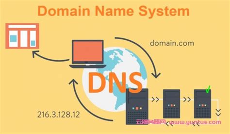 推荐2个国外免费且稳定的域名DNS解析服务商 - 云服务器网