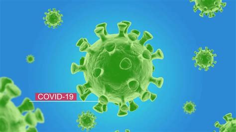 新型冠状病毒 预防与治疗知识---开学第一课课件（30张幻灯片）_21世纪教育网-二一教育