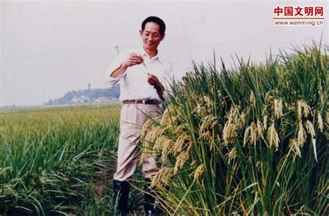 杂交水稻之父—袁隆平，斩获无数荣誉，用一生时间让世界不再挨饿_腾讯视频