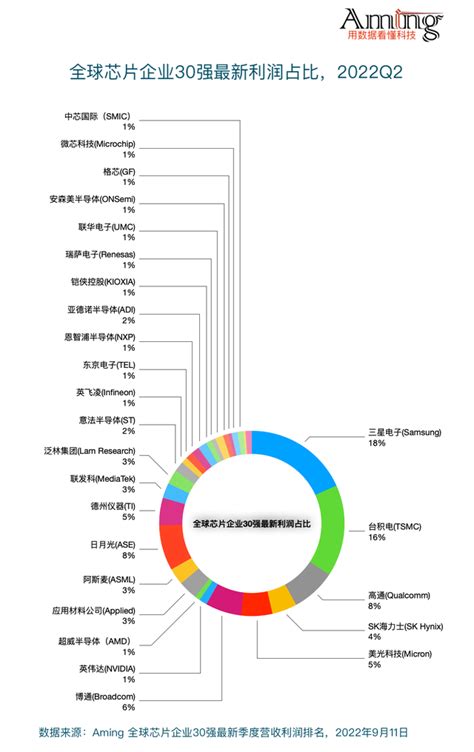 世界芯片排名一览表（中国十大芯片企业）-yanbaohui