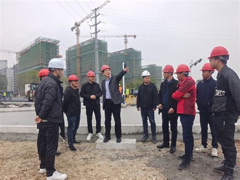 桐城市市长刘存磊赴安建投资桐城片区开发项目检查指导工作