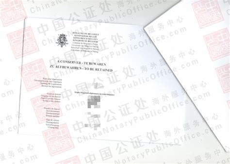 比利时华人办理中国出生公证书双认证，移民法国用，中国公证 ...