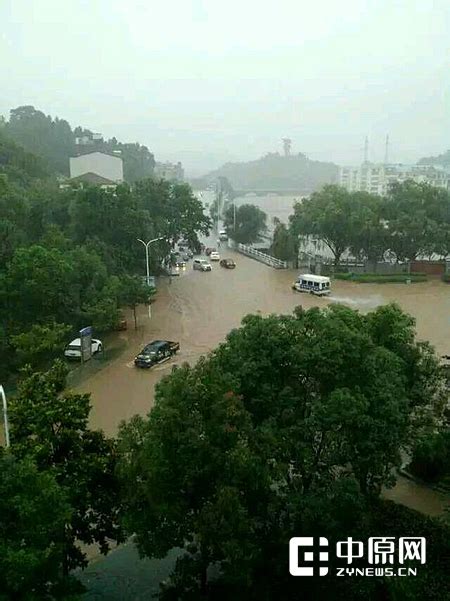 7月22日，河南新乡卫辉。居民转移被洪水围困的仔猪_凤凰网视频_凤凰网