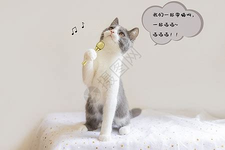 想要唱好假声，跟我一起学猫叫~_腾讯视频