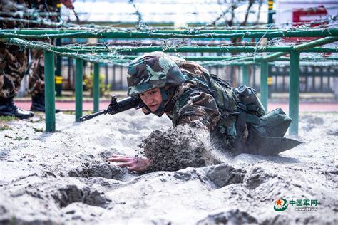聚焦丨这是你不知道的雪域高原练兵场 - 中国军网