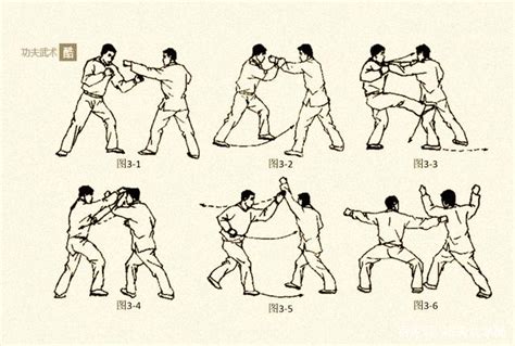 三、单鞭|杨式太极拳小架及其技击应用|武术世家